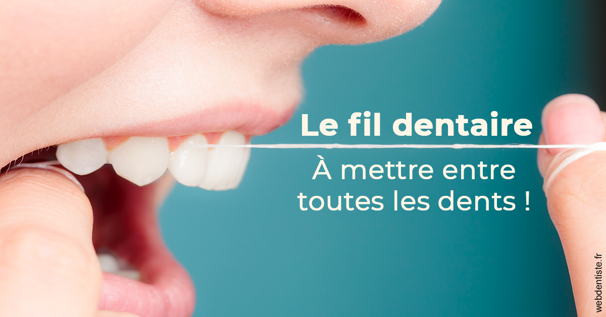 https://dr-marianne-paganon.chirurgiens-dentistes.fr/Le fil dentaire 2