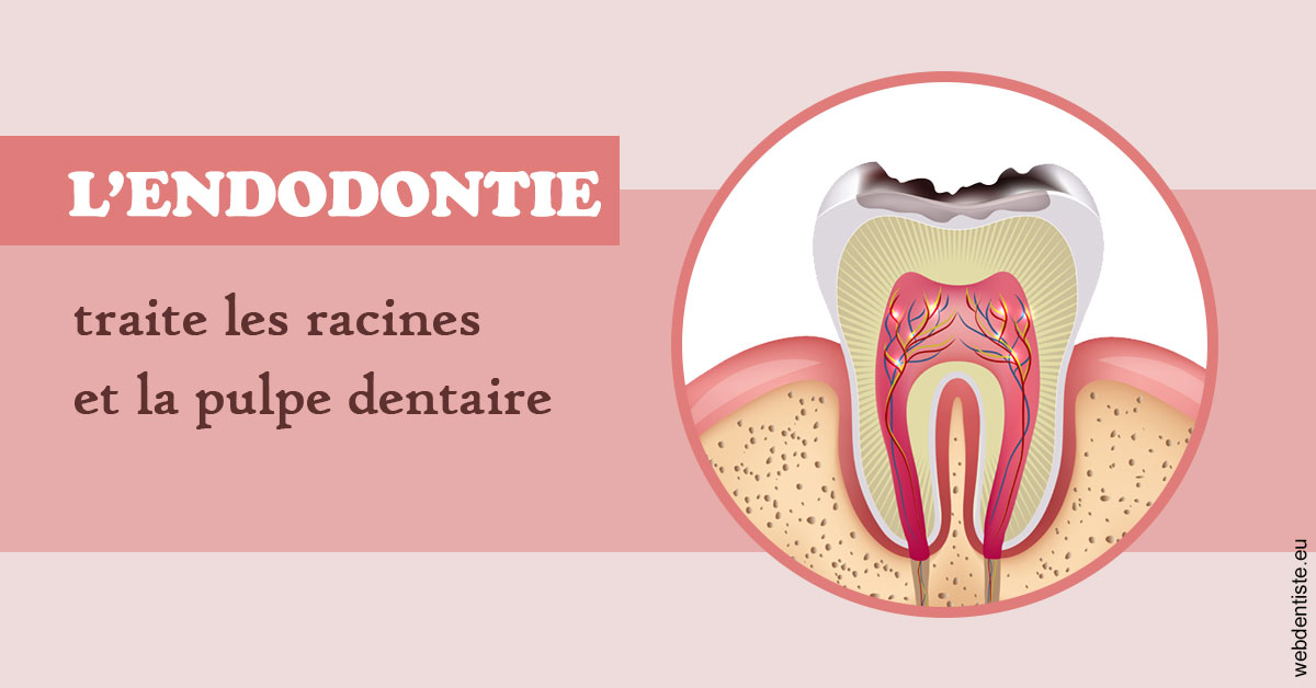 https://dr-marianne-paganon.chirurgiens-dentistes.fr/L'endodontie 2
