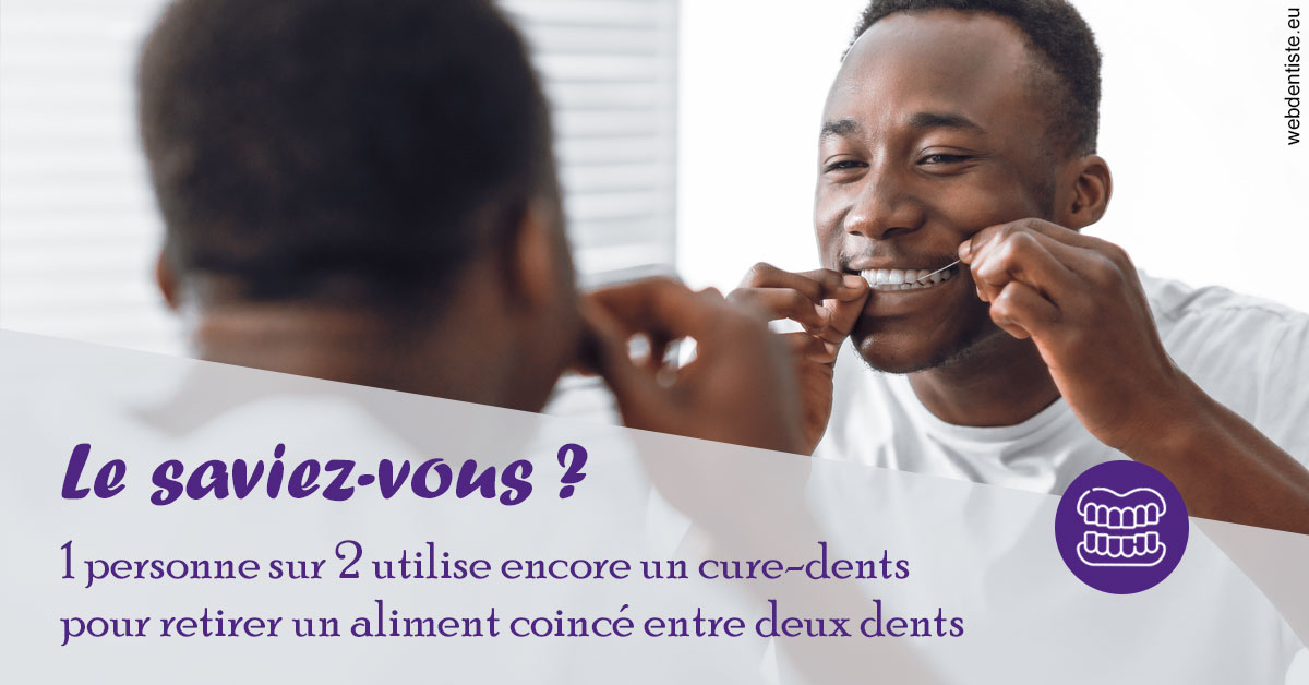https://dr-marianne-paganon.chirurgiens-dentistes.fr/Cure-dents 2