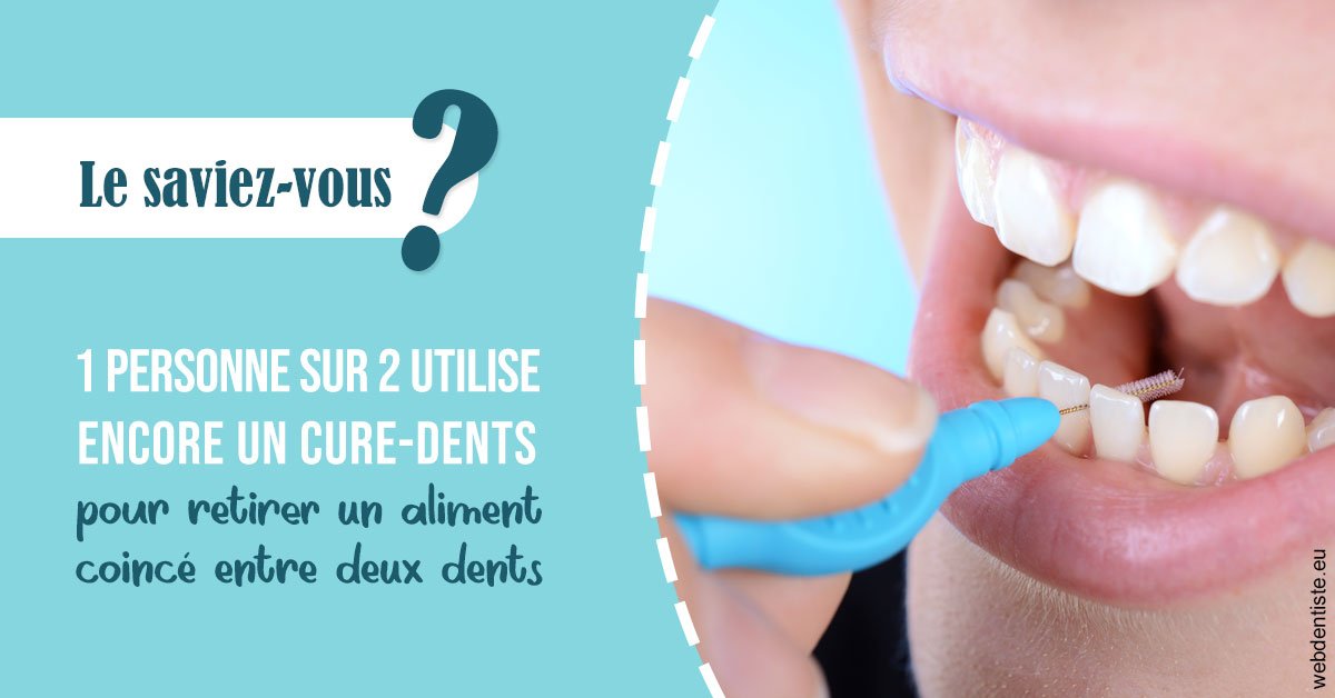 https://dr-marianne-paganon.chirurgiens-dentistes.fr/Cure-dents 1